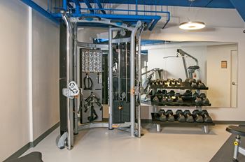 Free weights 